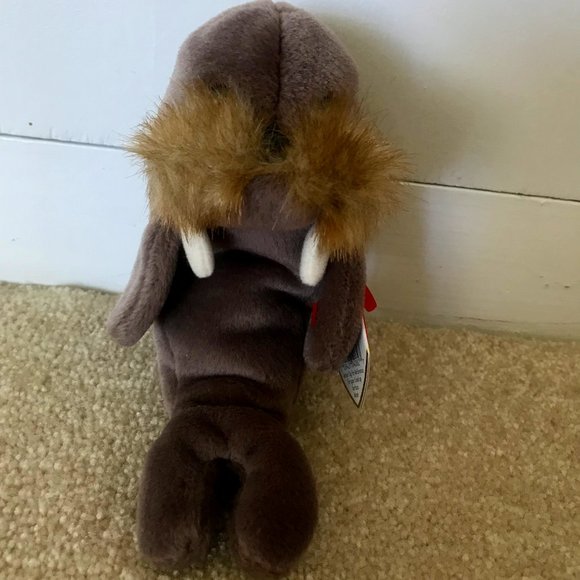 NWT Rare TY Retired JOLLY the WALRUS Beanie Baby - Picture 3 of 9